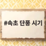 속초 단풍 시기