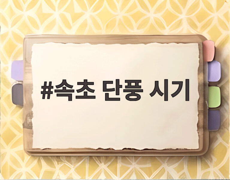 속초 단풍 시기