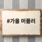 가을 머플러