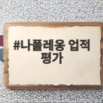 나폴레옹 업적 평가