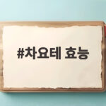 차요테 효능을 모르면 손해 보는 이유와 쉽게 먹는법 정리 차요테 효능