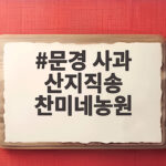 문경 사과 산지직송 찬미네농원