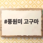 풍원미 고구마 달콤함과 포슬함을 한 번에 담은 제철 간식 풍원미 고구마