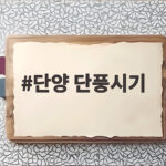 단양 단풍시기 절정 10월 중하순 놓치면 후회하는 보발재 명소 단양 단풍시기