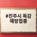 진주시 독감 예방접종
