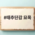 태추단감 묘목 초보자도 성공하는 심는 시기와 첫 겨울 준비 태추단감 묘목