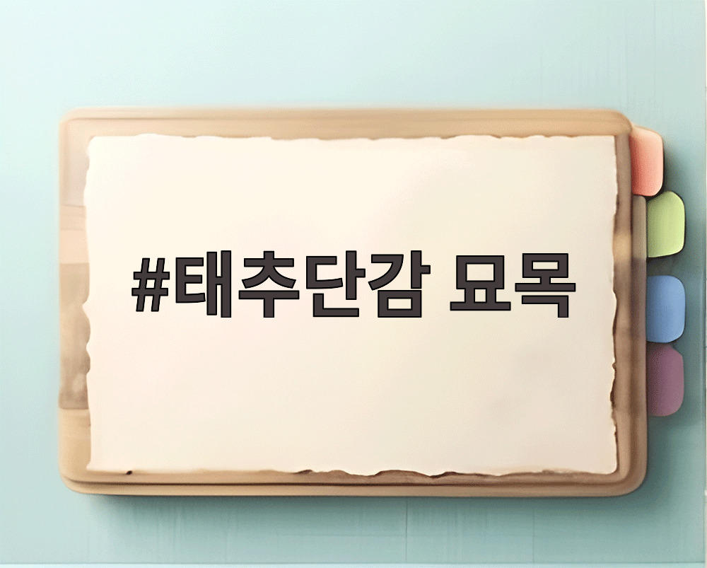 태추단감 묘목