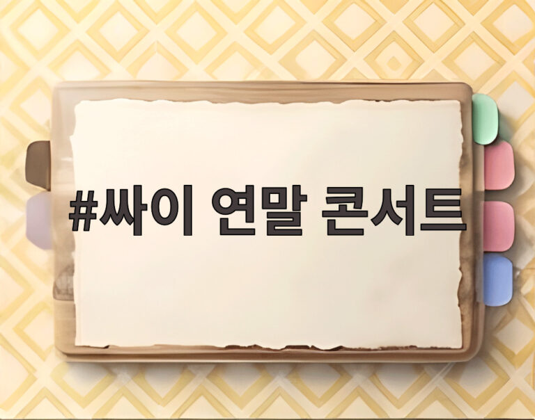 싸이 연말 콘서트