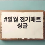 일월 전기매트 싱글 혼자 쓰는 겨울 난방 준비했어요 일월 전기매트 싱글