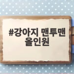 강아지 맨투맨 올인원 어떤 옷이 좋을까 입히기 전 확인할 것 강아지 맨투맨 올인원