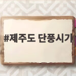 제주도 단풍시기 한라산 절정 11월 초 여행 일정과 준비물 제주도 단풍시기