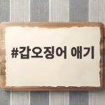갑오징어 애기