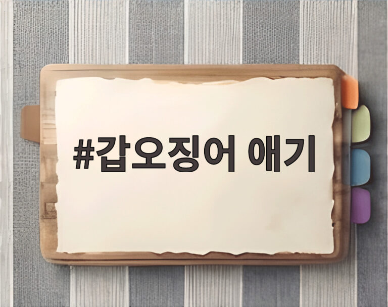 갑오징어 애기