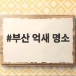 부산 억새 명소 승학산과 화명생태공원 가을 나들이 추천 부산 억새 명소