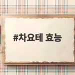 차요테 효능