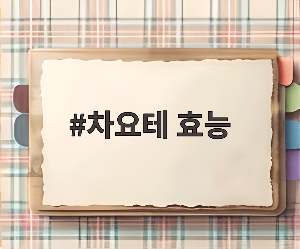 차요테 효능