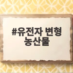 유전자 변형 농산물