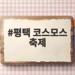 평택 코스모스 축제