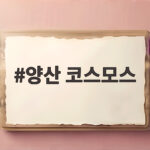 양산 코스모스