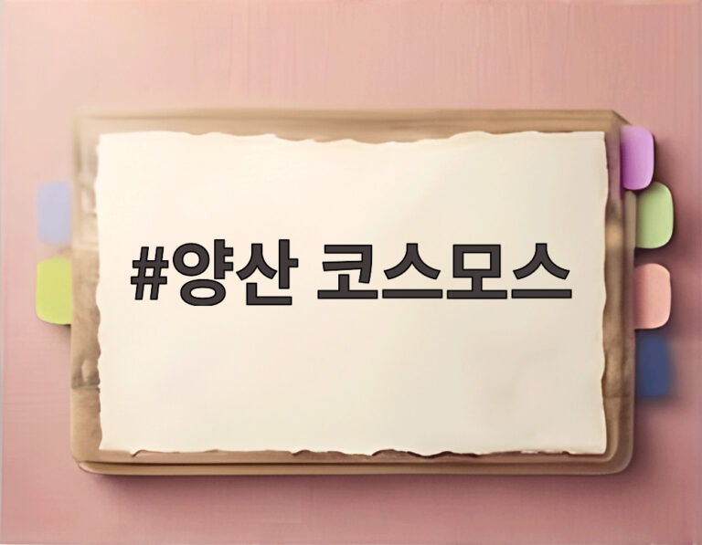 양산 코스모스