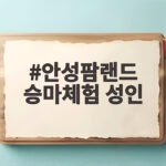 안성팜랜드 승마체험 성인 나이와 체중 제한 확인하고 떠나요 안성팜랜드 승마체험 성인
