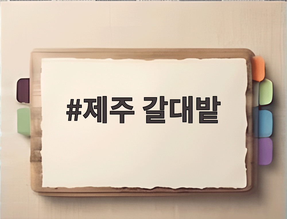 제주 갈대밭