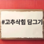 고추삭힘 담그기