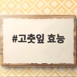 고춧잎 효능
