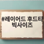 레이어드 후드티 빅사이즈