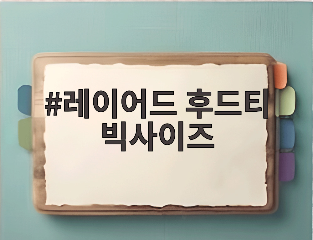 레이어드 후드티 빅사이즈