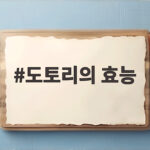 도토리의 효능 알고 먹으면 가을 식탁이 달라집니다 도토리의 효능
