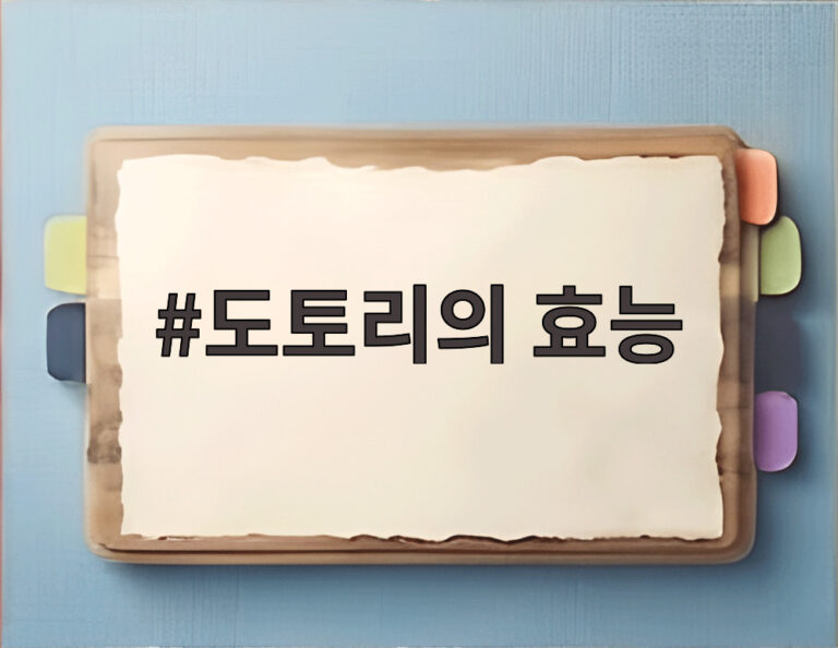 도토리의 효능