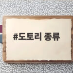 도토리 종류가 이렇게 많다니 가을 숲에서 찾는 구분 포인트 도토리 종류