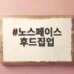 노스페이스 후드집업