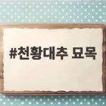 천황대추 묘목 심는 시기와 키우는 법 그리고 수확까지 궁금하다면 천황대추 묘목