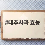 대추사과 효능