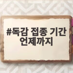 독감 접종 기간 언제까지