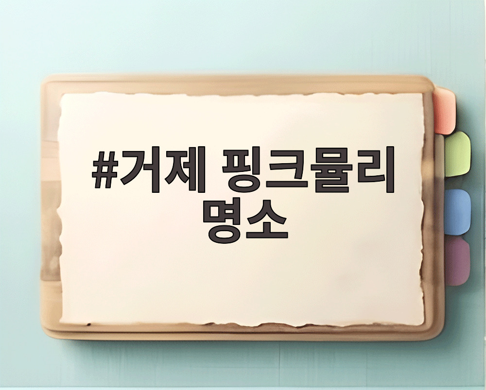 거제 핑크뮬리 명소