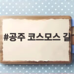 공주 코스모스 길 따라 걷다 만나는 가을 꽃밭과 백제 낭만 여행 공주 코스모스 길
