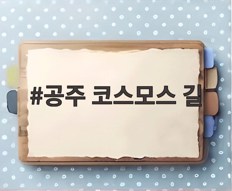공주 코스모스 길