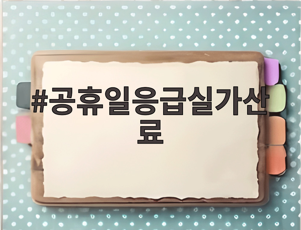 공휴일응급실가산료