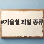 가을철 과일 종류 이렇게 고르면 환절기 건강이 달라집니다 가을철 과일 종류