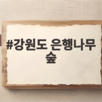강원도 은행나무 숲