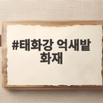 태화강 억새밭 화재 방화범 판결과 현재 복구 상황 태화강 억새밭 화재
