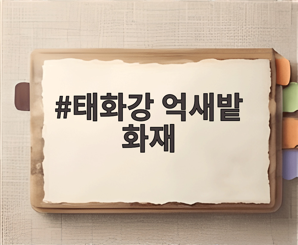 태화강 억새밭 화재