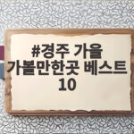 경주 가을 가볼만한곳 베스트 10