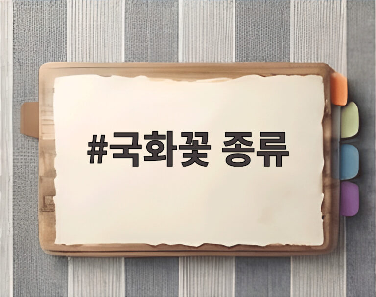 국화꽃 종류