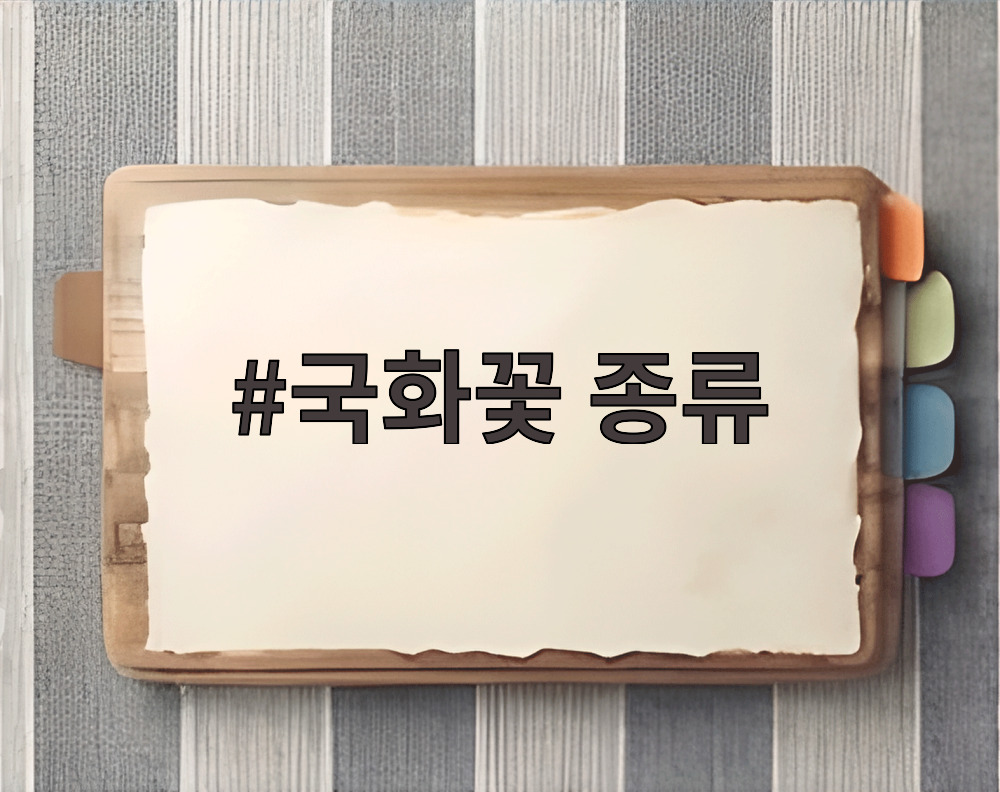 국화꽃 종류