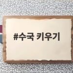 수국 키우기 초보자도 쉽게 성공하는 물주기와 가지치기 수국 키우기