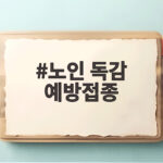 노인 독감 예방접종